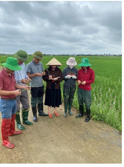 Chi cục Trồng trọt và Bảo vệ thực vật ban hành công văn về việc đăng tải tin, bài lên Cổng thông tin điển tử Sở Nông nghiệp và Phát triển nông thôn về việc Chỉ đạo phun trừ rầy lưng trắng 02082023