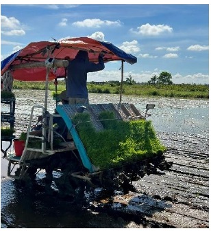 Chi cục Trồng trọt và Bảo vệ thực vật ban hành công văn về việc đăng tải tin, bài lên Cổng thông tin điển tử Sở Nông nghiệp và Phát triển nông thôn 13072023