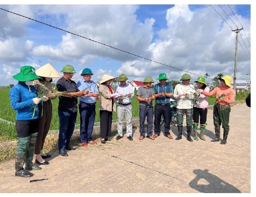 Chi cục Trồng trọt và Bảo vệ thực vật đăng tải tin, bài lên Cổng thông tin điện tử Sở Nông nghiệp và Phát triển nông thôn Về Tập trung chỉ đạo phun trừ Sâu cuốn lá nhỏ lứa 6 bảo vệ sản xuất lúa vụ Mùa năm 2023