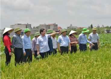 Chi cục Trồng trọt và Bảo vệ thực vật ban hành công văn về việc đăng tải tin, bài lên Cổng thông tin điện tử Sở nông nghiệp và Phát triển nông thôn