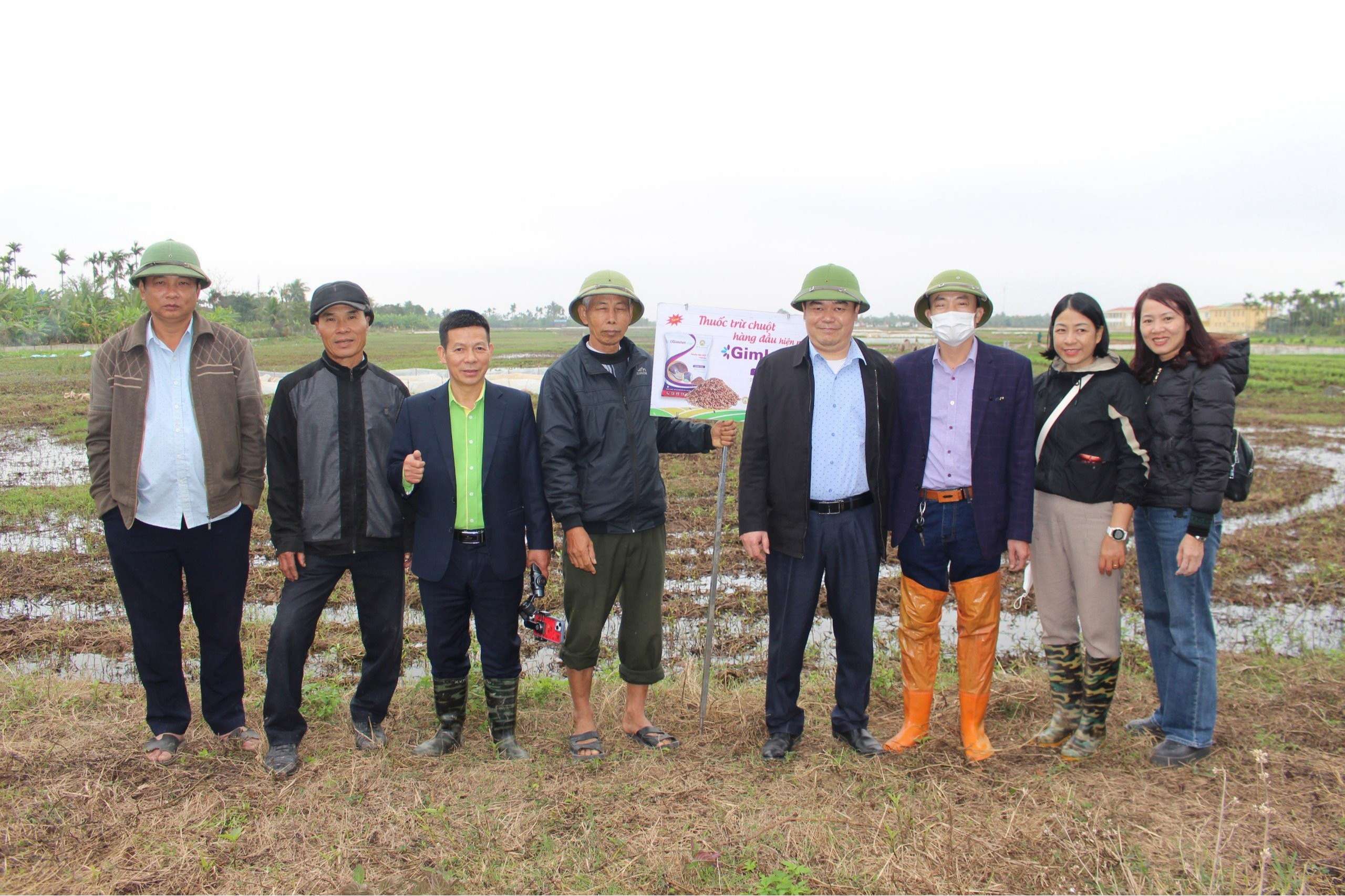 Kết quả kiểm tra, đánh giá sơ bộ thí điểm các biện pháp quản lý tổng hợp chuột hại trên lúa vụ Xuân năm 2024 trên địa bàn thành phố Hải Phòng