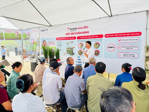 Trạm Trồng trọt và Bảo vệ thực vật Tứ Lộc: Tổ chức chuỗi tọa đàm, tập huấn giải pháp nâng cao năng suất, chất lượng lúa vụ Xuân 2026