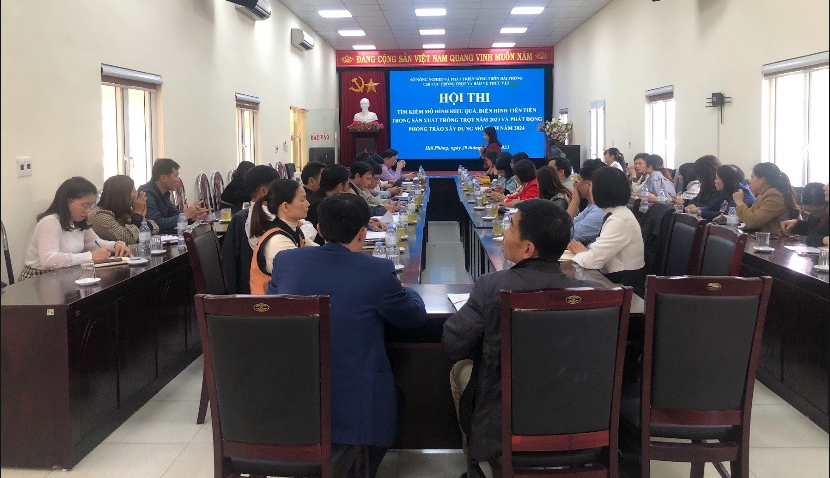 Hội thi “Tìm kiếm mô hình hiệu quả, điển hình tiên tiến trong sản xuất trồng trọt năm 2023 và phát động phong trào xây dựng mô hình năm 2024”