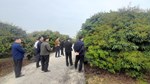 Sở Nông nghiệp và Môi trường Hải Phòng tăng cường chỉ đạo sản xuất vải, nhãn năm 2026