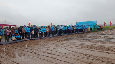 Chủ tịch UBND thành phố Hải Phòng ban hành Kế hoạch hành động triển khai thực hiện Đề án “Sản xuất giảm phát thải lĩnh vực trồng trọt giai đoạn 2025-2035, tầm nhìn đến năm 2050”