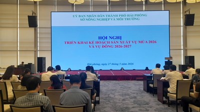 Sở Nông nghiệp và Môi trường thành phố Hải Phòng ban hành Kế hoạch và giải pháp sản xuất vụ Mùa năm 2026, vụ Đông năm 2026-2027